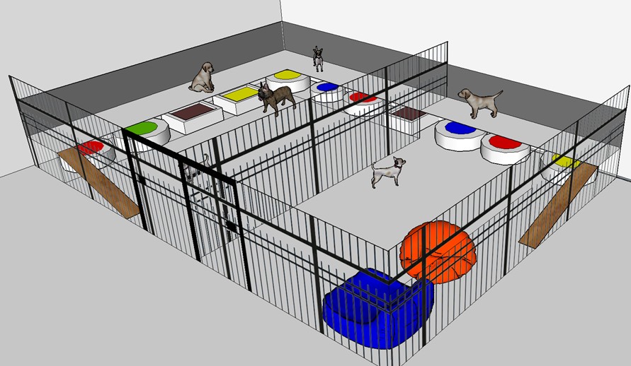Jaulas en la Residencia canina y felina Leorpe Jaula para perros pequeños